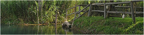 Private Tours